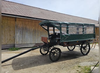 Carroza de caballos, año de fabricación 2019, en muy buen estado para la venta.
