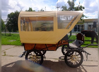 Carroza nueva