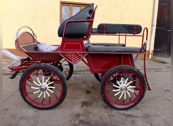 Nuevo coche de entrenamiento para conducción