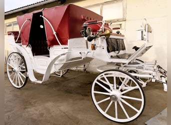 Carro de paseo doble / fabricación especial