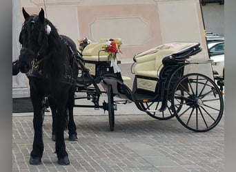 Carruaje modelo Vittoria