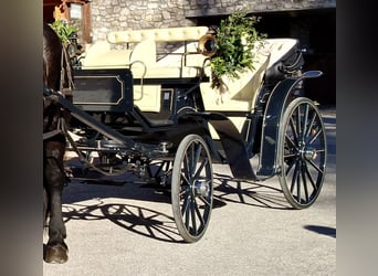 Carruaje modelo Vittoria