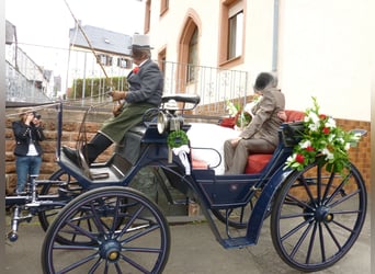 Carruaje Victoriáno