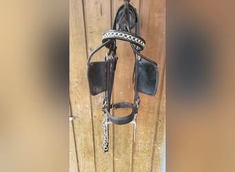 Kopfstück und Fahrleine