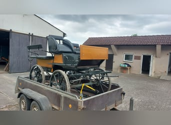 Carroza en venta