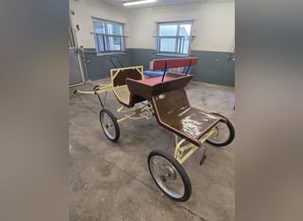 Carruaje de caballos