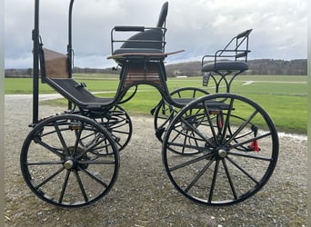 Carruaje de doma Spider para tándem