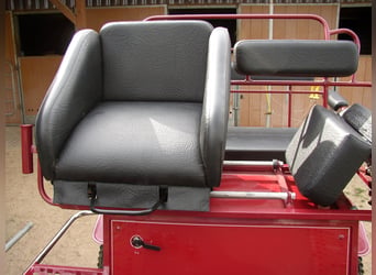 Carruaje de ocio y coche de caza en excelentes condiciones
