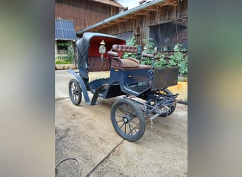 Coche histórico para caballos