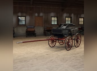 Kühnle Spider Carriage de doma, equipo de una o dos caballos, frenos de disco