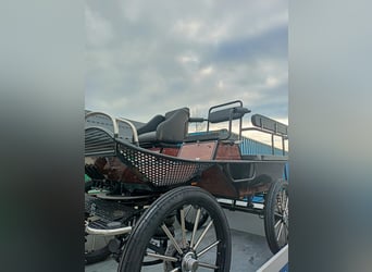 Nueva carroza de maratón disponible