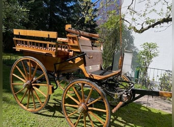Wagonette exclusiva - obra maestra en roble natural