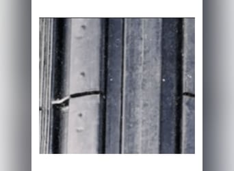 Carriage Tires and Inner Tubes Available