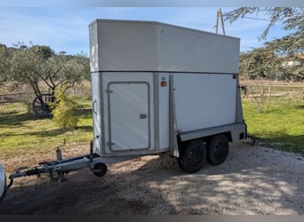 Caballo Westfalia, 1200 kg, donación