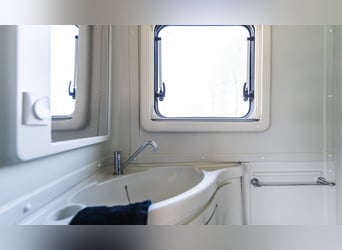 Suite de cuidado para caballos STX Groom, año 2021