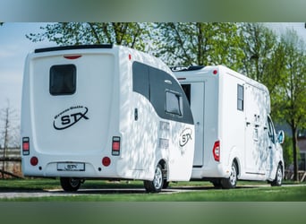 Suite de cuidado para caballos STX Groom, año 2021