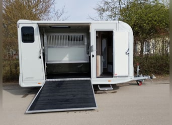 Transportín para caballos, remolque para caballos DT Trailer, potro con vivienda, remolque para caba