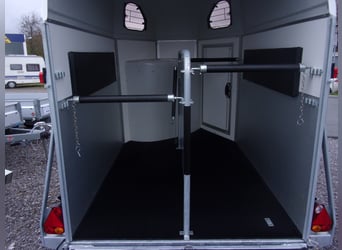 CL Gold First: ¡el mejor caballo de 2 años en relación calidad/precio del mercado!