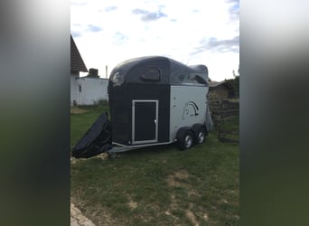 Caballo Liberte Gold Pullman V2, cuadra, base de aluminio