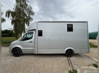 Transportín para caballos Mercedes Sprinter con 200 CV, carrocería 2026, 5 asientos