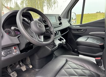Transportín para caballos Mercedes Sprinter con 200 CV, carrocería 2026, 5 asientos