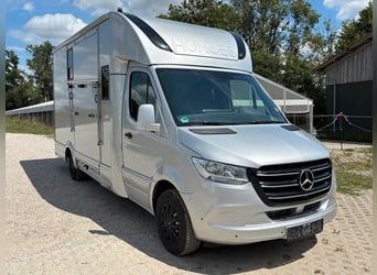 Transportín para caballos Mercedes Sprinter con 200 CV, carrocería 2026, 5 asientos