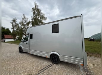 Transportín para caballos Mercedes Sprinter con 200 CV, carrocería 2026, 5 asientos