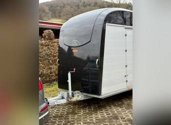 Böckmann Big Portax WCF, año de fabricación 2023