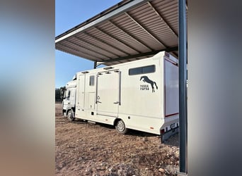 Camión Mercedes-Benz Atego preparado para el transporte de caballos