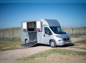 FIAT - DUCATO (2020)