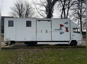 Mercedes 814 furgón de transporte - capacidad para 6 caballos - clásico, ITV válida hasta 2026, 7,5