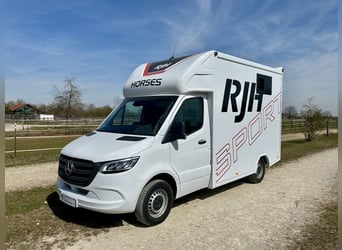 Mercedes-Benz 419 Sprinter 2-PFERDETRANSPORTER RJH SPORT 3,5t LKW