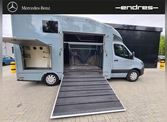 Mercedes-Benz Sprinter 319 CDI Pferdetransporter