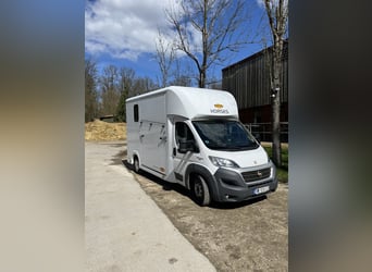 Pferdetransporter Böckmann Fiat Ducato 