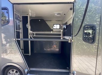 Renault Master Horse Transporter 5 Seats, 3 Beds.