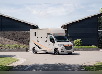 Renault Roelofsen Yorse Edición Especial Transportador para 2 caballos Vehículo de ocasión con trans