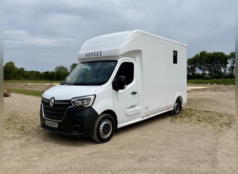 Renault Roelofsen Yorse transportín para 2 caballos - último modelo - alta capacidad de carga - PREC