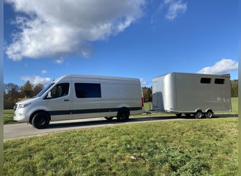 Sprinter WoMo 319 con remolque para caballos y carruajes opcional, gancho de remolque L3H2 V6