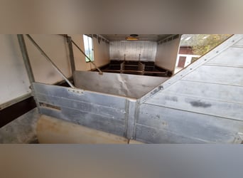 Transportador de caballos MAN con tienda de establo, sin inspección técnica (TÜV)