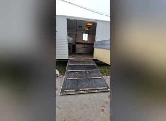 Transportador de caballos MAN con tienda para caballos