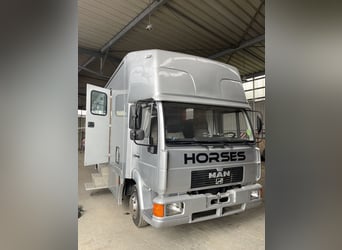 Transportador de caballos MAN L200 con homologación para autocaravana – capacidad para 4 caballos –