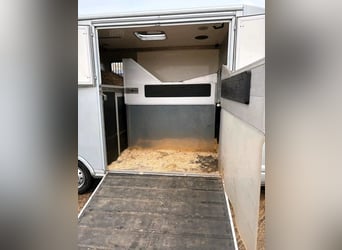 Transportador de caballos Renault Master de segunda mano