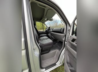 Transportín de caballos MAN TGE 3.180 automático, 3,5 toneladas
