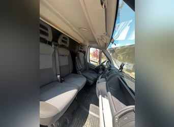Transportín para caballos de 3,5 toneladas Peugeot Boxer con solo 116.200 km recorridos