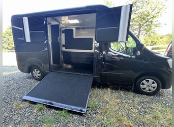 VAN CAVALLI STX 7NRVA MASTER HORSEBOX (usato pochissimo!!!)