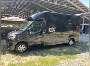 VAN CAVALLI STX 7NRVA MASTER HORSEBOX (usato pochissimo!!!)