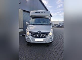 Camión para caballos - Renault Master 2018 Anemone
