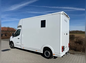 Renault ROELOFSEN YORSE 2-Pferdetransporter SONDERMODELL NEU