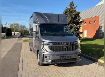 Transportín para caballos Renault Master, modelo nuevo, con transmisión automática y conducción autó