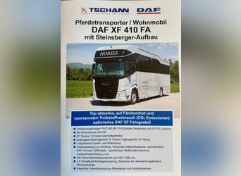 Transportista de caballos DAF XF410 Camioneta para caballos y autocaravana